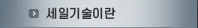 세일기술이란