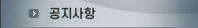공지사항