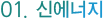 신에너지