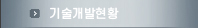 기술개발현황