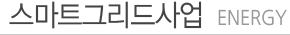 스마트그리드사업