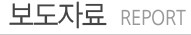 보도자료